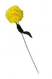 Vara de flor