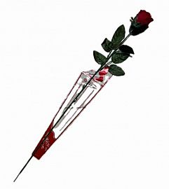 Vara rosa grande c/celofan